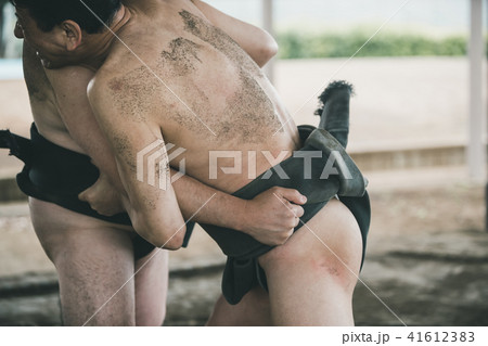 Sumo wrestling Sumo wrestling 41612383
