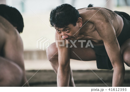 Sumo wrestling 41612393