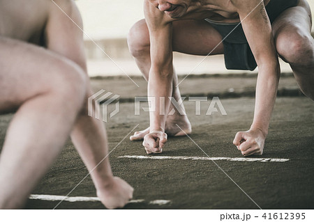 Sumo wrestling 41612395