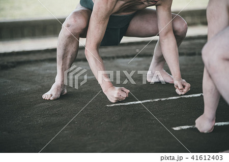 Sumo wrestling 41612403