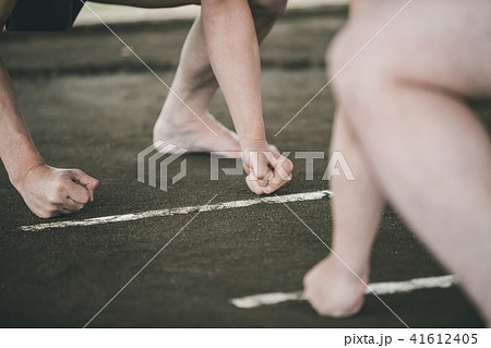 Sumo wrestling 41612405