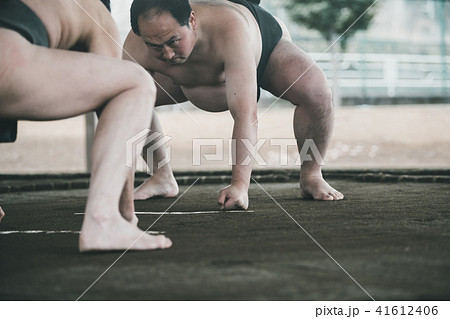Sumo wrestling Sumo wrestling 41612406