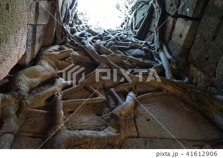 Preah Vihear Temple - Angkor Wat (Cambodia) 41612906