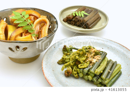 山菜のおかず 山菜のおかず 41613055