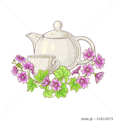 malve tea illustration malve tea illustration 41613073
