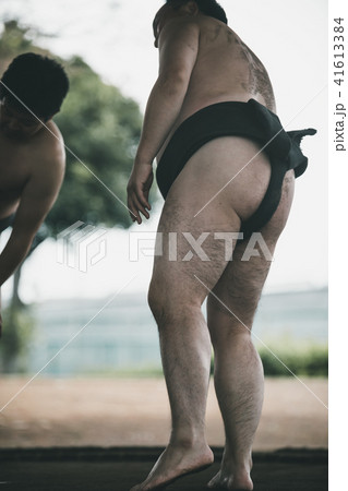 Sumo wrestling Sumo wrestling 41613384