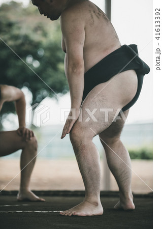 Sumo wrestling 41613392