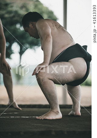 Sumo wrestling 41613393