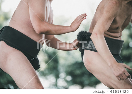 Sumo wrestling 41613426