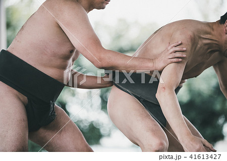 Sumo wrestling Sumo wrestling 41613427