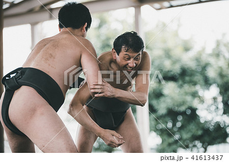 Sumo wrestling 41613437