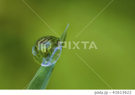 Exciting macro of a drop  41613622