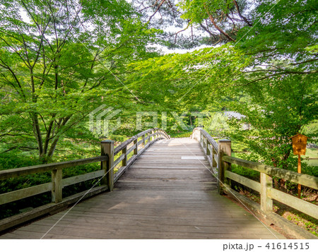 【伊豆】日本庭園の木橋【修善寺虹の郷】 41614515
