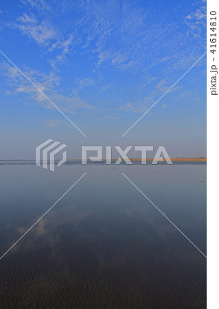 高美湿地 高美湿地 41614810