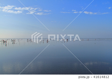 高美湿地 高美湿地 41614812