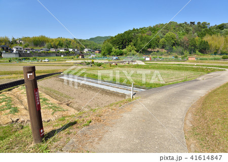 山辺の道 山辺の道 41614847