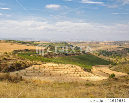 Viana in the far distance 41615681