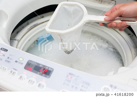 洗濯機の洗濯層のカビをすくう 洗濯機の洗濯層のカビをすくう 41618200