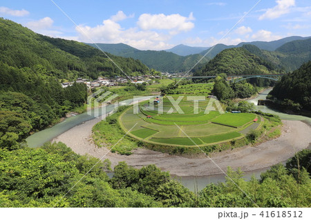 あらぎ島の棚田 あらぎ島の棚田 41618512