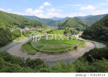 あらぎ島の棚田 41618514