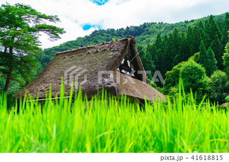 風景物語　白川郷 41618815