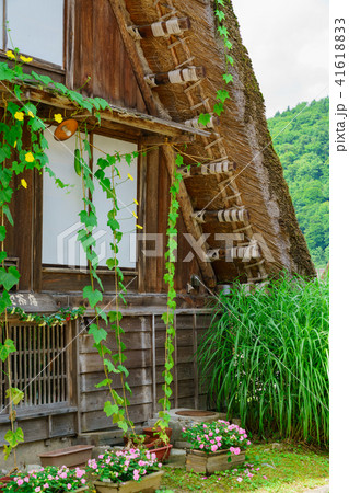 風景物語 白川郷 風景物語 白川郷 41618833