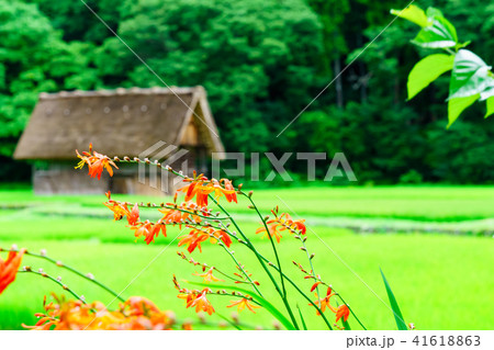 風景物語　白川郷 41618863