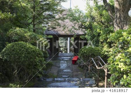 心田庵の茅葺門と石畳 41618917