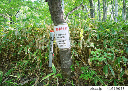 乗鞍高原 熊よけ!! 乗鞍高原 熊よけ!! 41619053