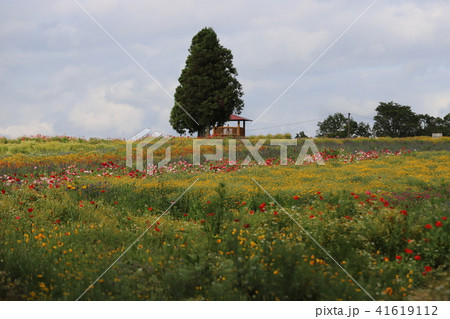 青山高原ハーブガーデン 41619112