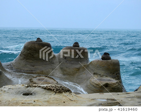 台湾 海 海事 41619460