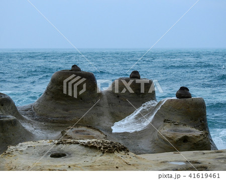 台湾 海 海事 41619461