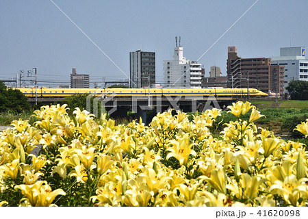庄内川 新幹線とゆり 庄内川 新幹線とゆり 41620098