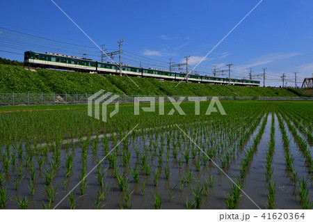 鉄道 京阪 7000系 おけいはん 淀~八幡市 水田 田んぼ 田園 水鏡