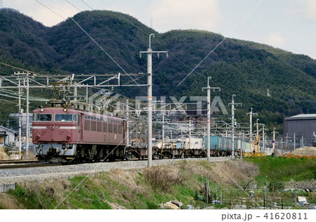 1994年　EF813コンテナ貨物列車 41620811