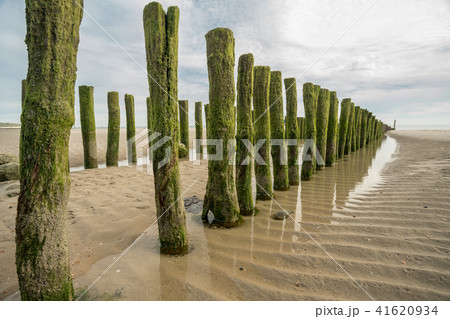 wooden poles in the sea 41620934
