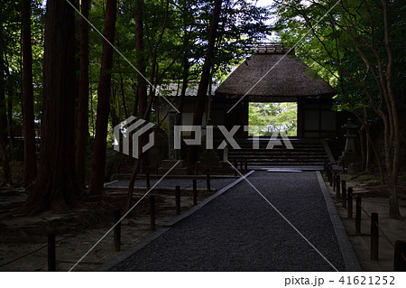 法然院 山門 法然院 山門 41621252