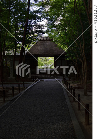 法然院 山門 法然院 山門 41621257