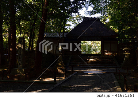 法然院 山門 法然院 山門 41621261