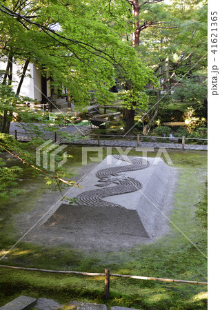 法然院 白砂壇 法然院 白砂壇 41621365