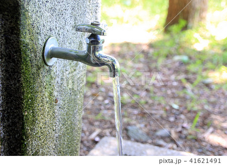 水道 森林公園 水道 森林公園 41621491