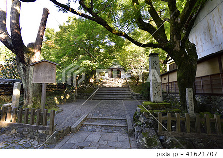 安楽寺　山門 41621707