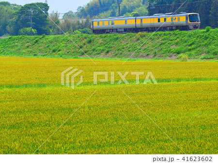 キヤ141 キヤ141 41623602