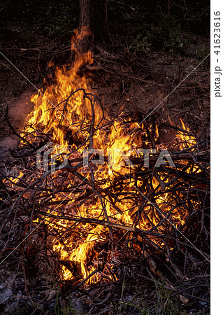 dark background bonfire from branches. flame and sparks 41623616