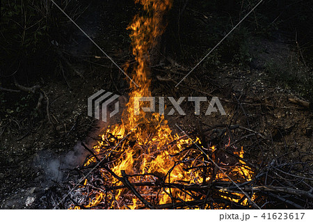 dark background bonfire from branches. flame and sparks 41623617