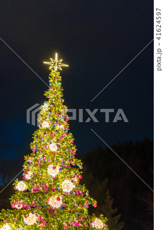 Huge Christmas Tree 41624597