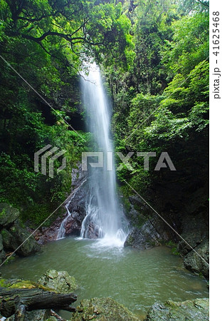 次の滝　和歌山県有田郡有田川町 41625468