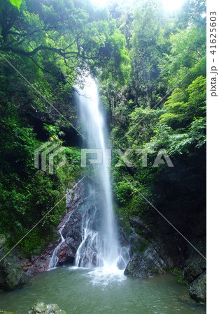 次の滝　和歌山県有田郡有田川町 41625603