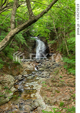 栃木県日光市　龍王峡　竪琴の滝（5月） 41625619