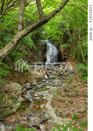 栃木県日光市 龍王峡 竪琴の滝 5月 の写真素材